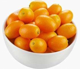 Kumquat - proprietăți utile ale fructelor, fotografiile, conținutul de calorii al fructelor