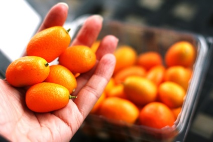 Kumquat proprietăți și specii utile, hrană și sănătate