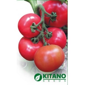 Cumpara butler de tomate (batler) f1 kitano pentru 199UAH, euroagrotrade ukraine