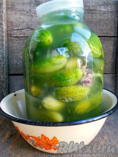 Savanyú uborka konzervdobozban, mint hordó - recept egy fotóval