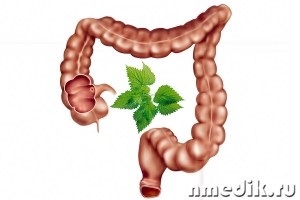 Tratament pentru urzică - boli ale tractului gastro-intestinal