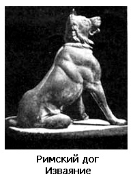 Legi și mituri despre câini