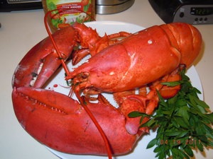 Lobster - rețetă frumos mare cu fotografii