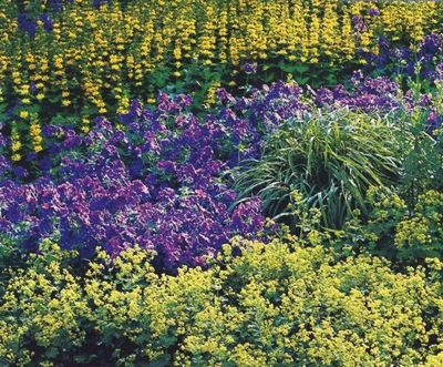 Decoratiuni mici de paturi de flori si paturi de flori