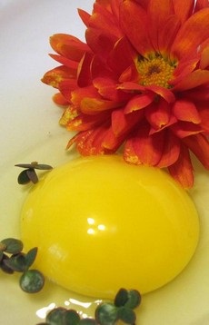 Măști de față de la frumusețea ouălor din cuib