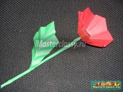 Origami Workshop