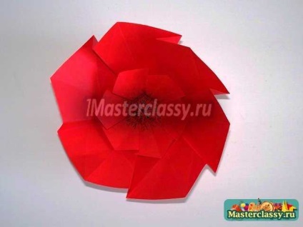 Origami Workshop