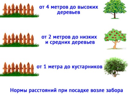 На известно разстояние от оградата могат да бъдат засадени храсти