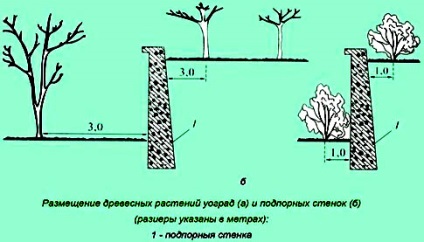 На известно разстояние от оградата могат да бъдат засадени храсти