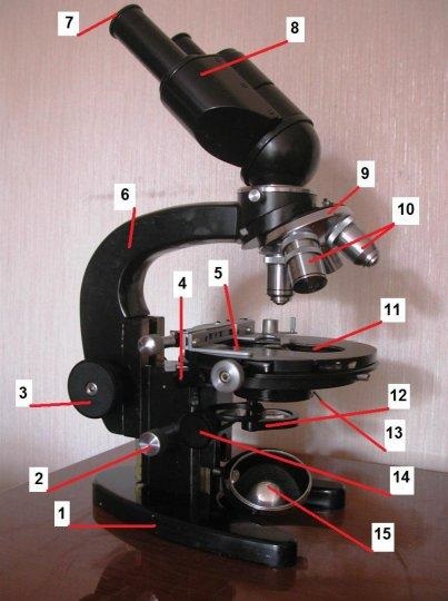 Ajustarea microscopului și a dispozitivului acestuia
