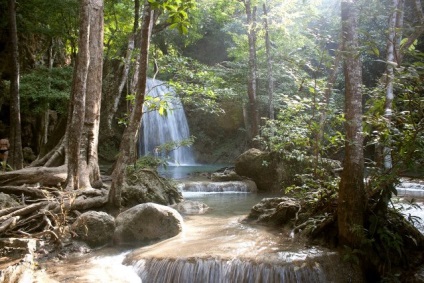 Thaiföldi Khao Sok Nemzeti Park