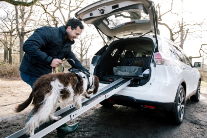 Nissan x-trail 4dogs állati kedvelőknek - amsrus