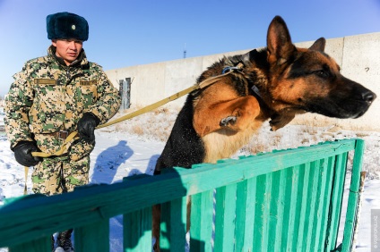 Într-o zi din viața polițiștilor de frontieră