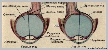 Optica ochiului