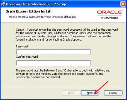 Oracle primavera p6 - vizualizați tema - instalați versiunea locală (client) a oracle primavera p6