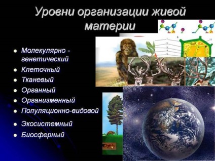 Nivele organice, populaționale specifice, ecosistemice și biosferice ale organizării materiei vii