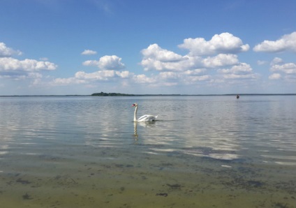 Lakes ukraine în cazul în care să se odihnească lângă apă - preț, fotografie, recenzii, program