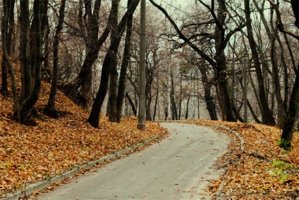 Parc Nivki, unde să meargă, ce să văd, unde să se odihnească în Kiev