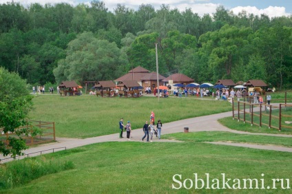 Bird Park 