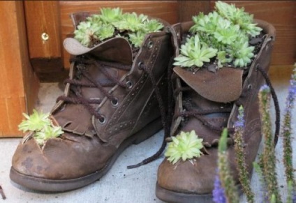 Remek régi cserepek a régi cipők virágaiért, kézzel készítettek