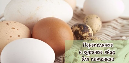 csirke tojás erekcióhoz népszerű gyógyszerek az erekcióhoz