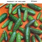 Pc2 castraveți Olandeză și alte selecții străine (toate tipurile), semințe magazin online -