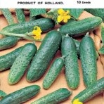 Pc2 castraveți Olandeză și alte selecții străine (toate tipurile), semințe magazin online -