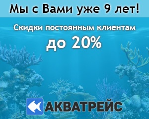 Платідорас в небезпеці - форум акваріумістів