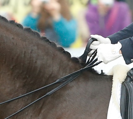 Victoria lui inessa merkulova în Hamburg este sportul ecvestru, o călărie