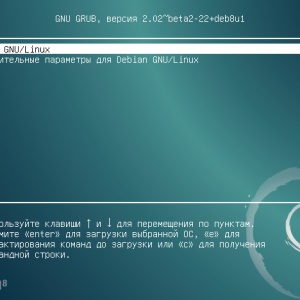 Creșterea serverului dvs. web la debian 8