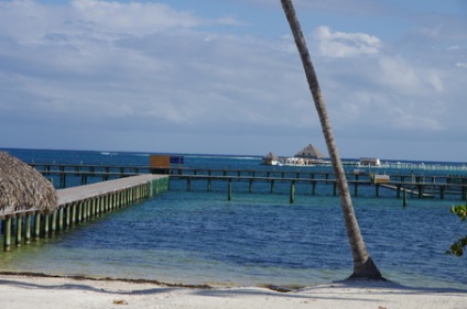 Excursie la parcul explorer al delfinilor