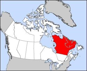 Peninsula Labrador