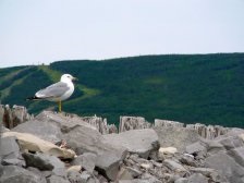 Peninsula Labrador în Canada