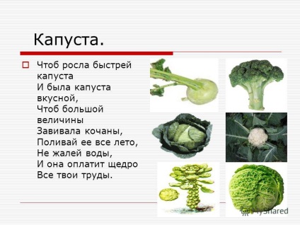 Prezentare pe tema de știință naturală 2class legume în viața omului natalya gil 2008