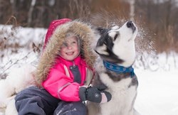 Aranjați lecții accentuate ale fotografiilor animalelor din orașul câinilor