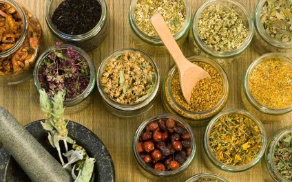Preparate din plante vs. homeopatie