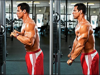 A tricepsz fejlődés növeli az erőt - vörös egészségi állapot
