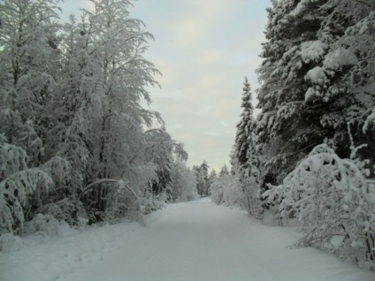 Pescuit în Karelia - acasă