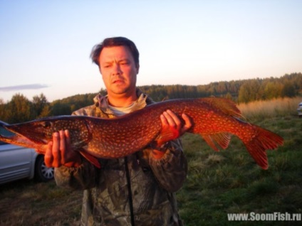 Pescuit în Karelia - acasă