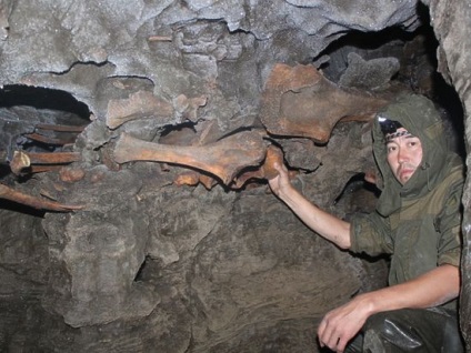 Orosz felfedezés őseink vadásztak a mamut nyelvére - a tudományra