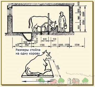 Hambar pentru vaci