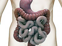 Semințe de in și boli ale tractului gastrointestinal, gastroenterologie, alte boli ale organelor