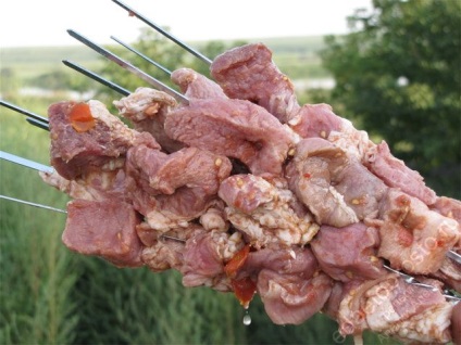 Shish kebab de la păsări de curte