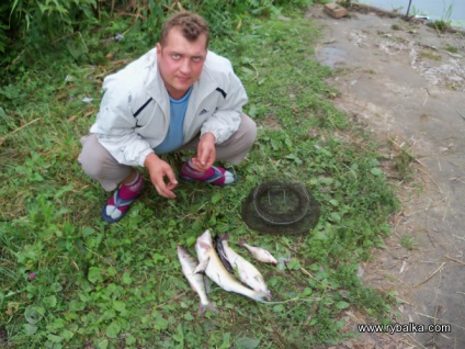Shurovo 2011, blog de utilizator wik, rețea socială de pescari și vânători