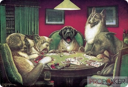 Dog Poker Face