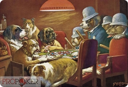 Dog Poker Face