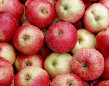 Apple apple aport fotó, visszajelzések, leírás, jellemzők