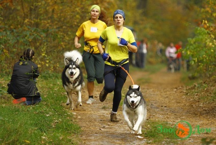 Sport cu un câine, o grădină zoologică - buletin de bord