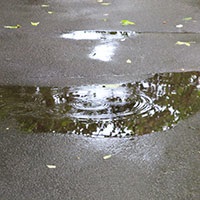 Poezii despre puddles, puddles