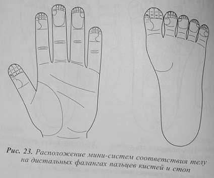 Su-jok terapie - sistem de insecte - revista online medicina alternativa